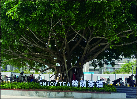 海沧湖-不锈钢景观立体发光字